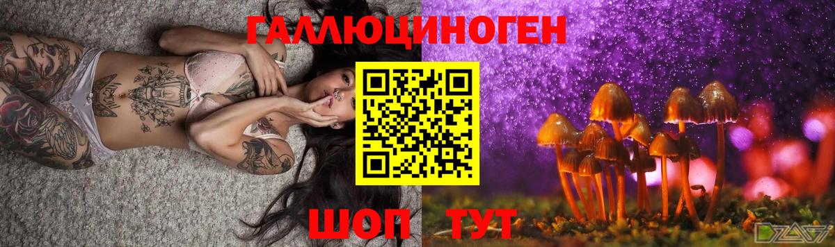 Кохма  Псилоцибиновые грибы Magic Shrooms  Вход с VPN 